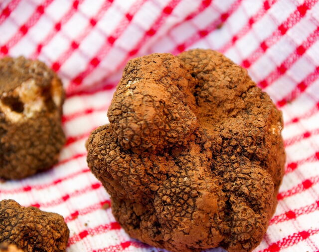 Trufas