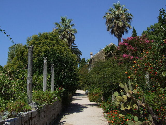 Arboreto de Trsteno, plantas