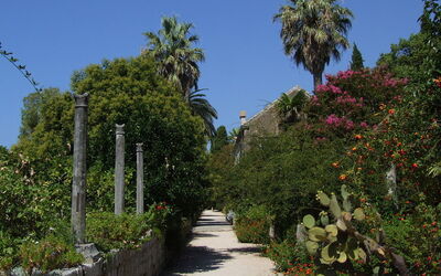 Arboreto de Trsteno, plantas