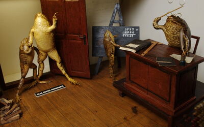 Froggyland, escena de aula