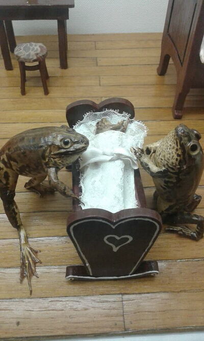 Froggyland, escena de jardín de infancia