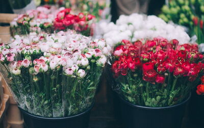 Cours Saleya, flores