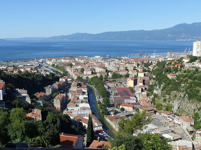 Vista