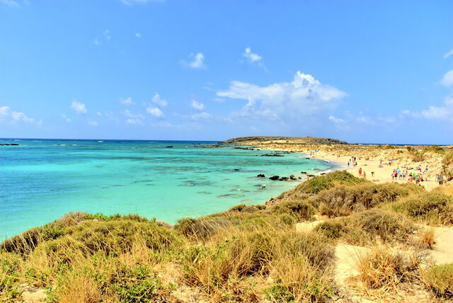 Playa Elafonisi, hierba