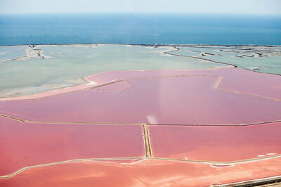 Salinas de Camargue