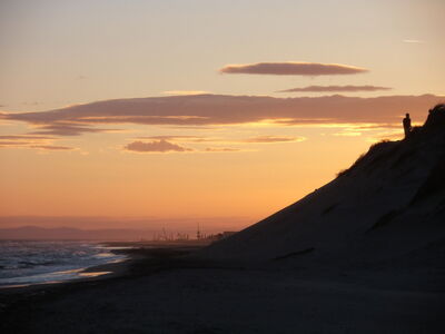 Una playa en Camargue