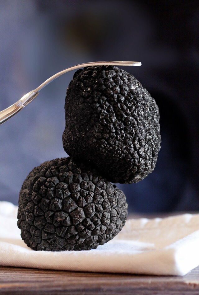 Trufas