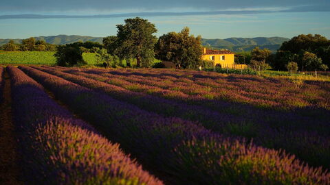 Paisaje de la Provenza