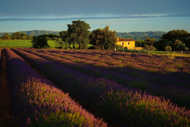 Paisaje de la Provenza