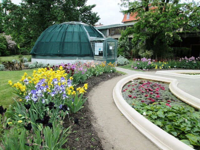 Jardín Botánico de Zagreb, Flores