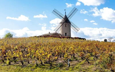 Alquileres De Casas En Rhône-Alpes