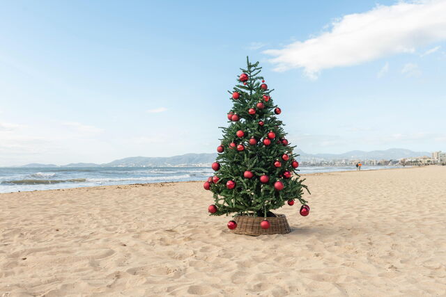 Navidad, Mallorca