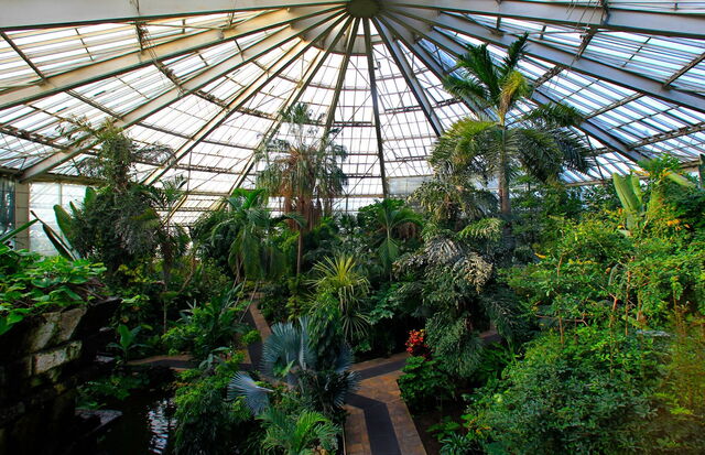 Parc Phoenix, invernadero