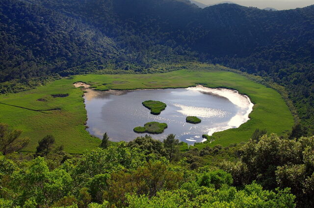 Mljet, Lago