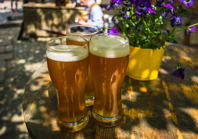 Cerveza