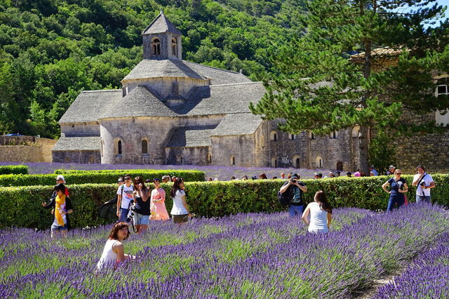 Views in Provence