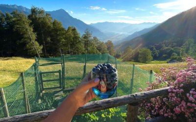 Baita Lake View, vista