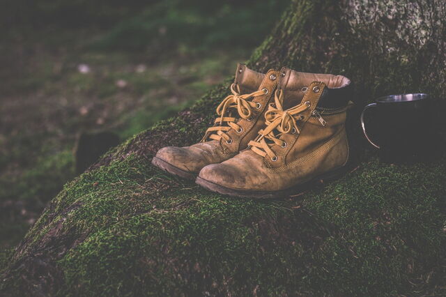 Botas
