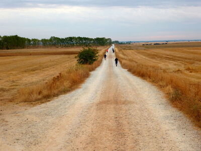 Camino De Santiago