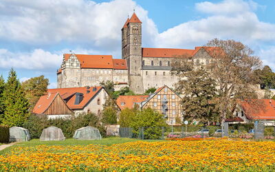 Alquileres De Casas En Sajonia-Anhalt