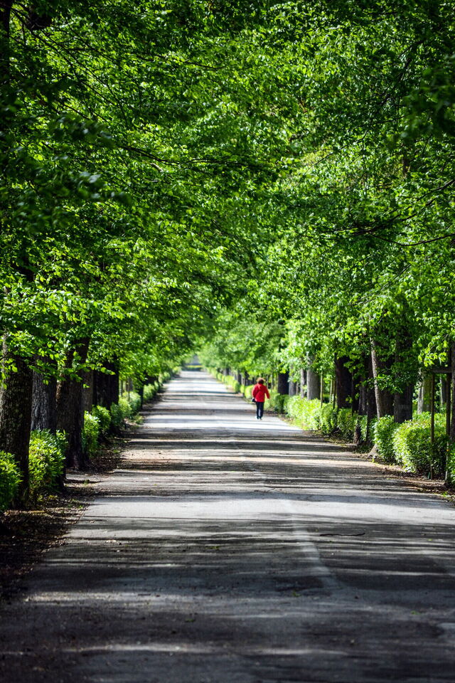 Parque Cascine