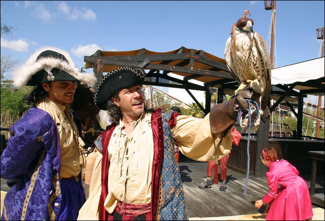 Piratas en Isla Mágica