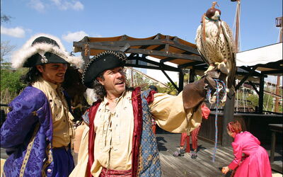 Piratas en Isla Mágica