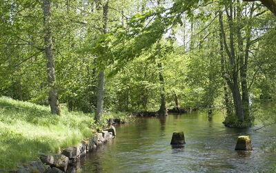 Casas De Vacaciones en Kronoberg