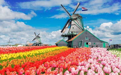 Alquileres De Casas En Holanda Septentrional