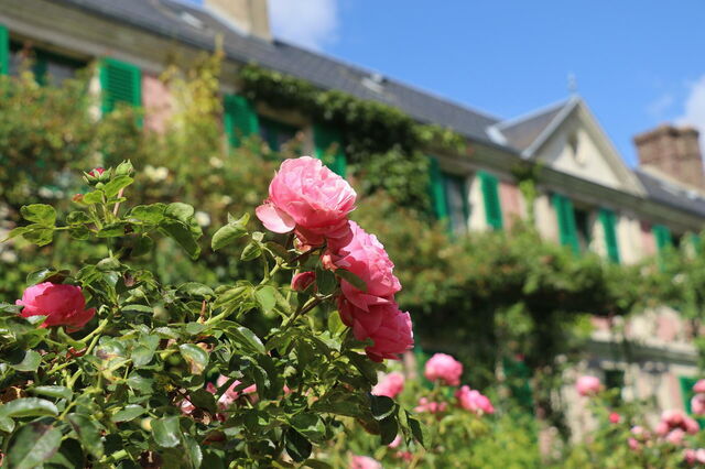 Rosas delante de la Casa de Monet