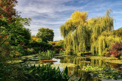 Jardines de Monet
