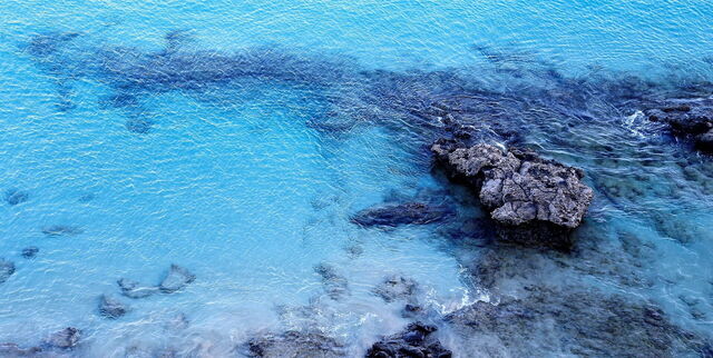 Mar