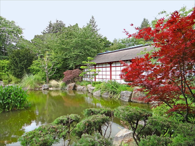 Jardin Japonais de l'Île de Versailles, arce
