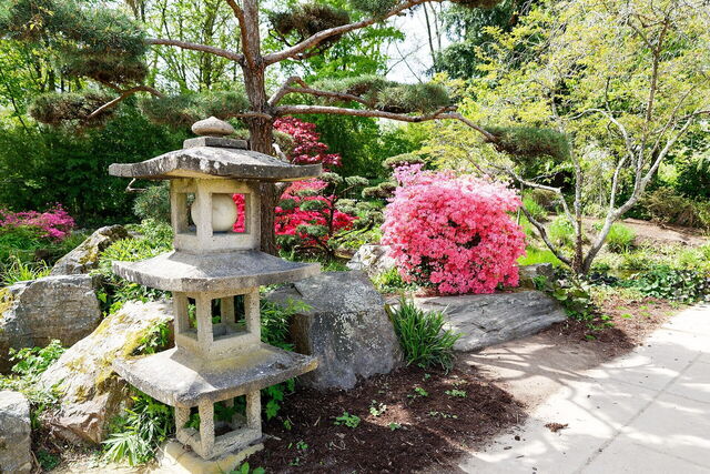 Jardin Japonais de l'Île de Versailles, plantas