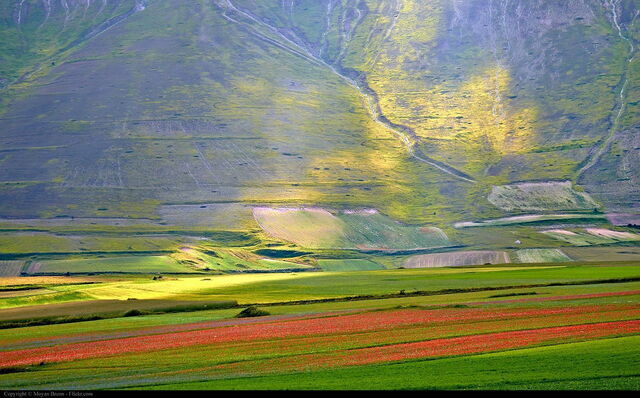 Piani di Castelluccio, la luz del sol
