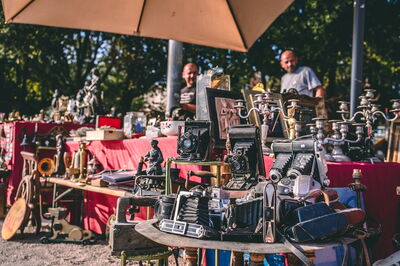 Mercado de antigüedades, Zadar