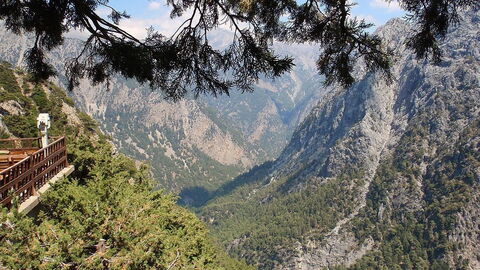 Vistas
