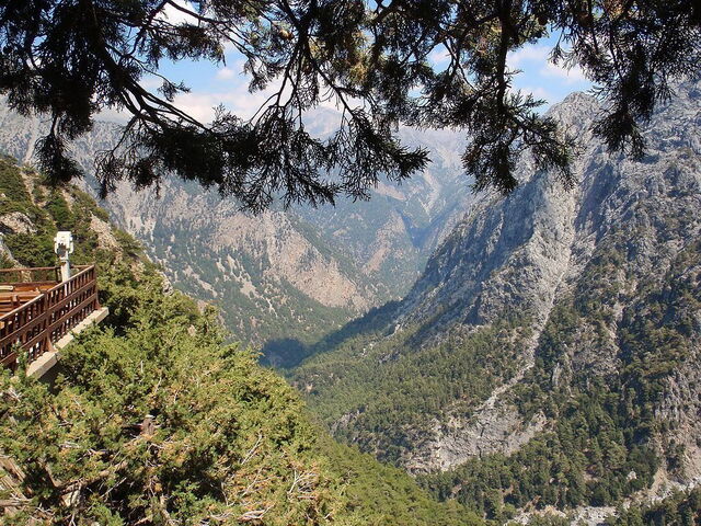 Vistas