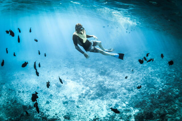 Buceando entre peces