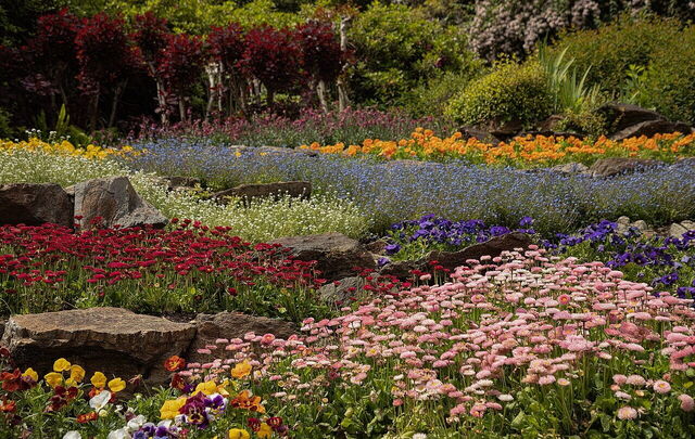 Flores en Villa Carlotta
