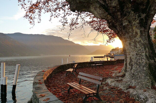 Villa Carlotta, a orillas del lago