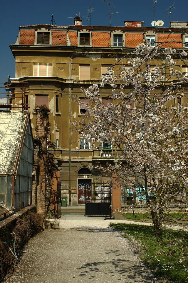 Jardín Botánico de Zagreb, cerezos en flor