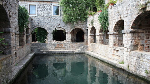 Estanque de peces