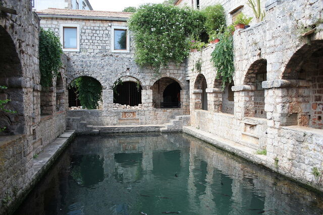 Estanque de peces