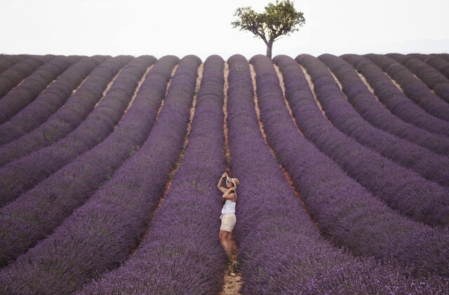 Explorando los campos de lavanda