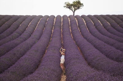 Explorando los campos de lavanda