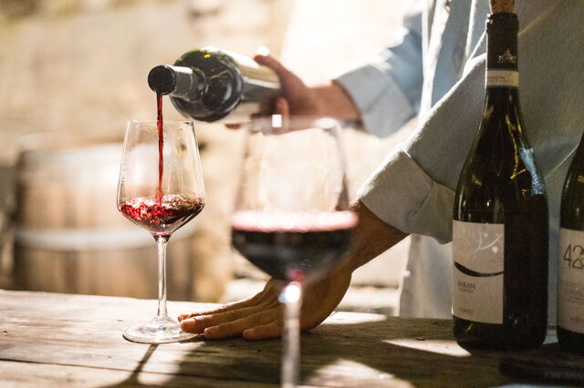 Cata de vinos