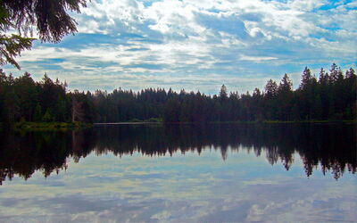 Alquileres De Casas En Jura