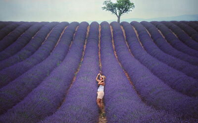 Explorando campos de lavanda