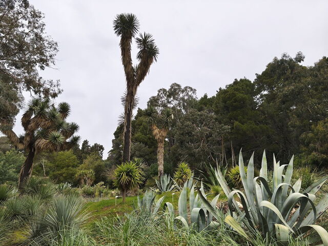 Jardín Botánico de Lokrum